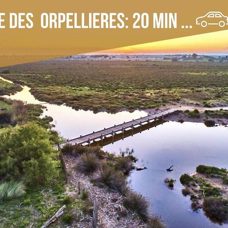 Centre Historique - Free Parking - Self Checkin - Wifi - Industriel - Sleepntripbeziers Apartment Exterior foto